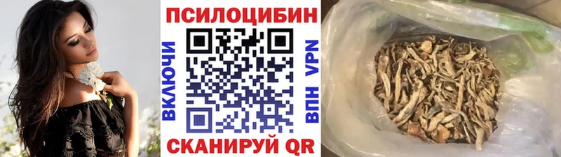 Псилоцибиновые грибы GOLDEN TEACHER  Ленинск-Кузнецкий 
