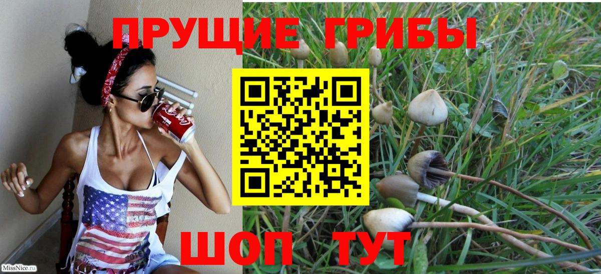 Ленинск-Кузнецкий  Псилоцибиновые грибы Magic Shrooms  Вход с VPN 